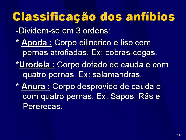 Classificação dos anfíbios -Dividem-se em 3 ordens: * Apoda : Corpo cilindrico e liso