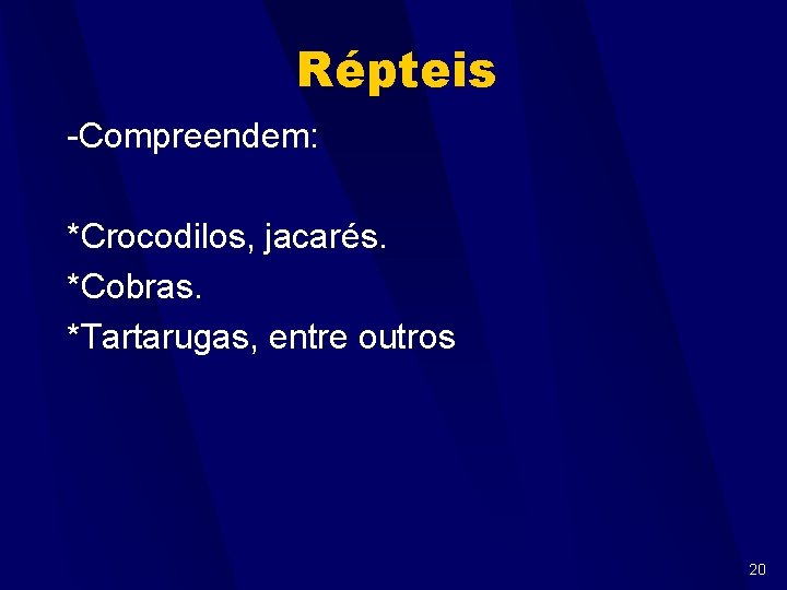 Répteis -Compreendem: *Crocodilos, jacarés. *Cobras. *Tartarugas, entre outros 20 