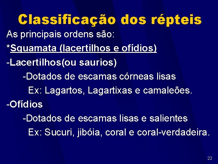 Classificação dos répteis As principais ordens são: *Squamata (lacertilhos e ofídios) -Lacertilhos(ou saurios) -Dotados