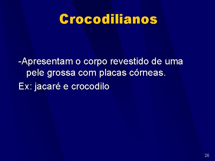 Crocodilianos -Apresentam o corpo revestido de uma pele grossa com placas córneas. Ex: jacaré