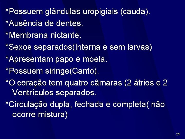 *Possuem glândulas uropigiais (cauda). *Ausência de dentes. *Membrana nictante. *Sexos separados(Interna e sem larvas)