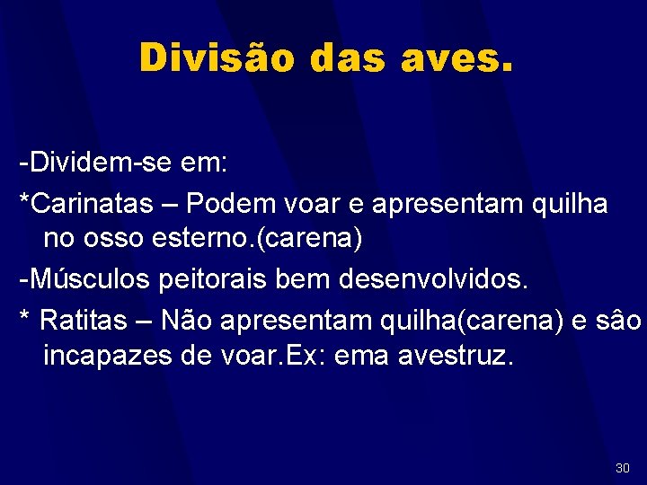 Divisão das aves. -Dividem-se em: *Carinatas – Podem voar e apresentam quilha no osso