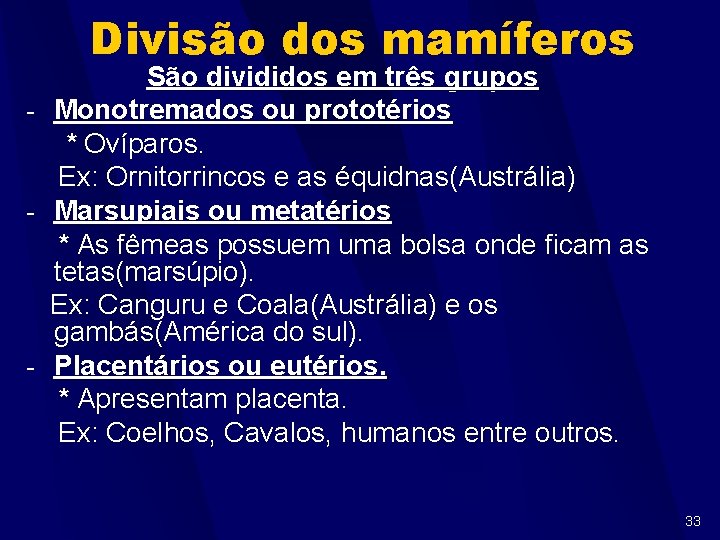 Divisão dos mamíferos - - - São divididos em três grupos Monotremados ou prototérios