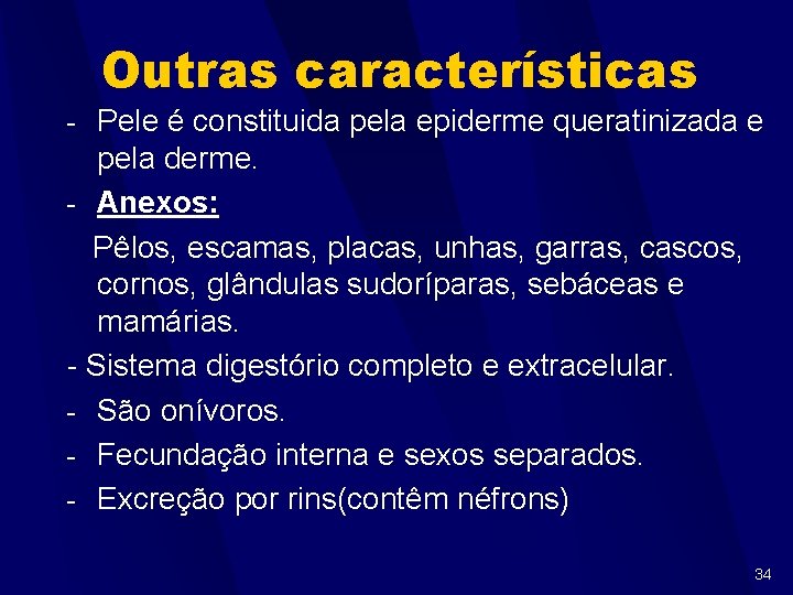 Outras características - Pele é constituida pela epiderme queratinizada e pela derme. - Anexos: