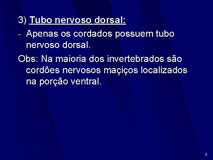 3) Tubo nervoso dorsal: - Apenas os cordados possuem tubo nervoso dorsal. Obs: Na