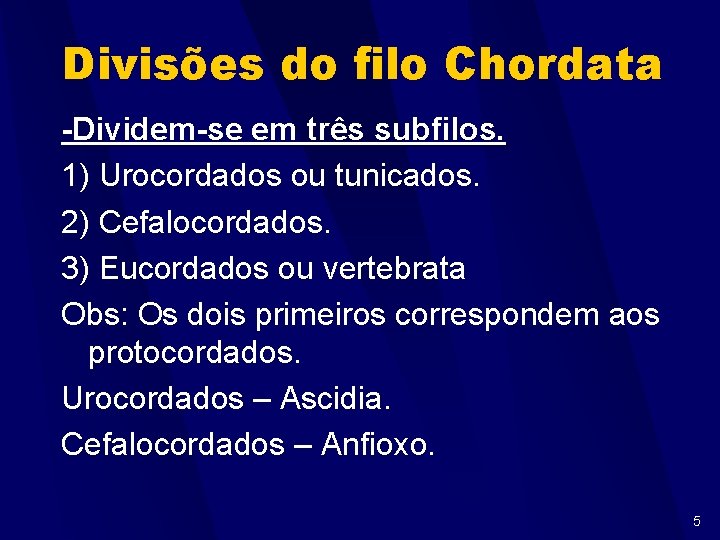 Divisões do filo Chordata -Dividem-se em três subfilos. 1) Urocordados ou tunicados. 2) Cefalocordados.