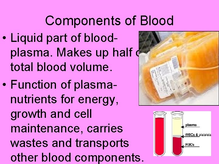 Components of Blood • Liquid part of bloodplasma. Makes up half of total blood