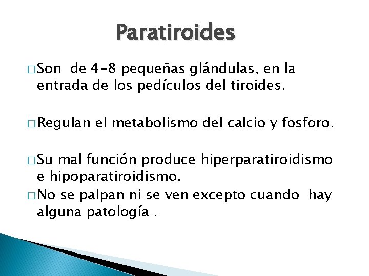 Paratiroides � Son de 4 -8 pequeñas glándulas, en la entrada de los pedículos
