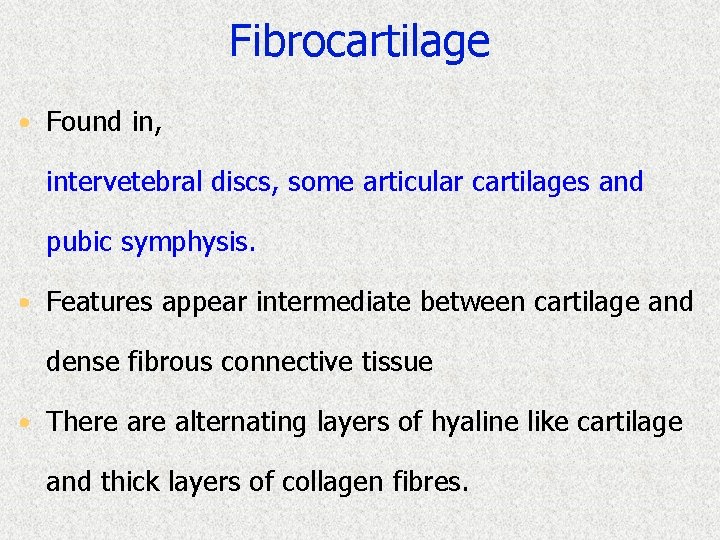 Fibrocartilage • Found in, intervetebral discs, some articular cartilages and pubic symphysis. • Features