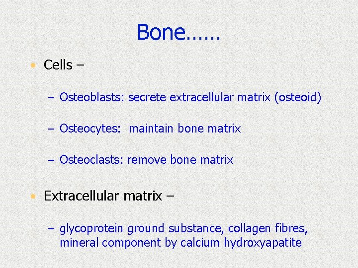 Bone…… • Cells – – Osteoblasts: secrete extracellular matrix (osteoid) – Osteocytes: maintain bone