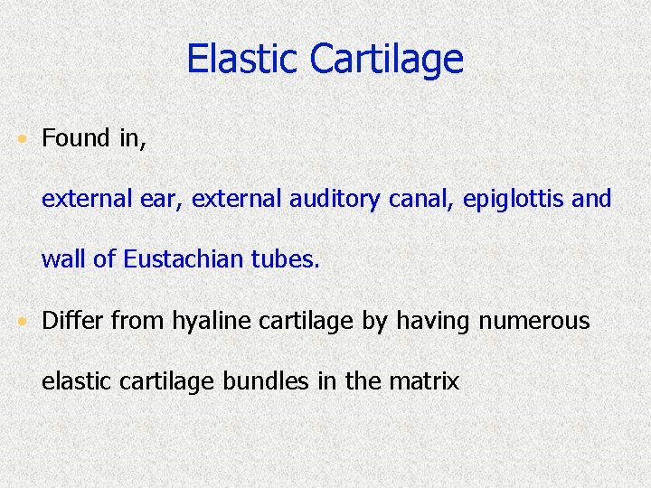 Elastic Cartilage • Found in, external ear, external auditory canal, epiglottis and wall of