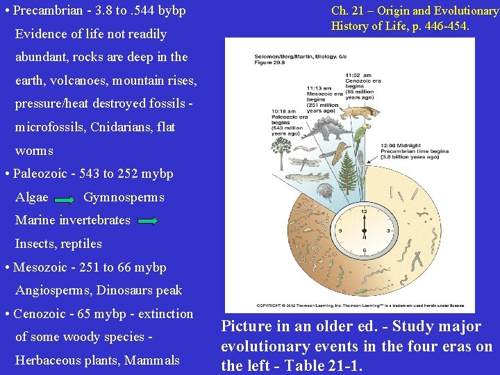  • Precambrian - 3. 8 to. 544 bybp Evidence of life not readily