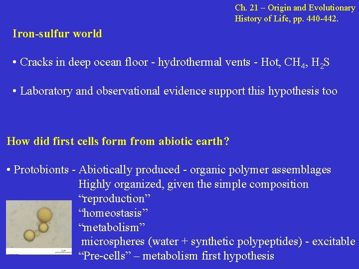Ch. 21 – Origin and Evolutionary History of Life, pp. 440 -442. Iron-sulfur world
