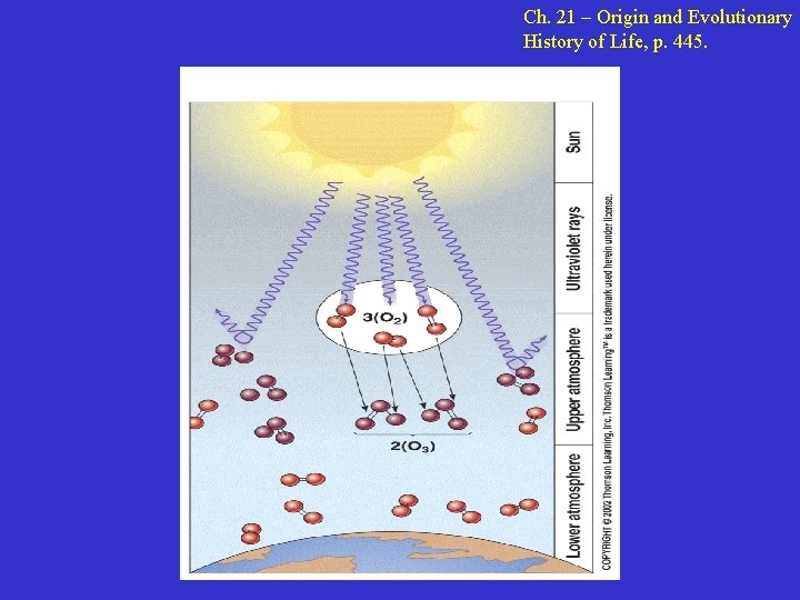 Ch. 21 – Origin and Evolutionary History of Life, p. 445. 