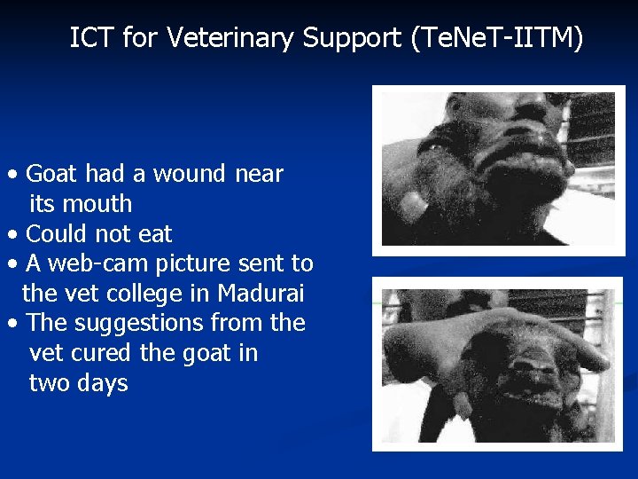 ICT for Veterinary Support (Te. Ne. T-IITM) • Goat had a wound near its