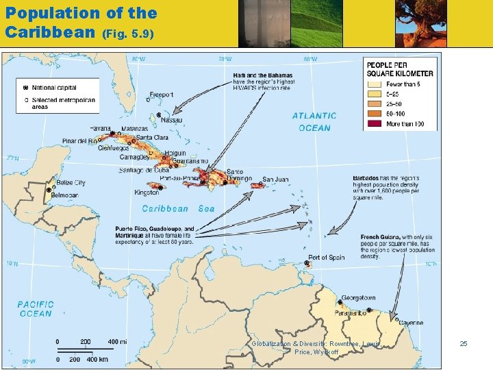 Population of the Caribbean (Fig. 5. 9) Globalization & Diversity: Rowntree, Lewis, Price, Wyckoff