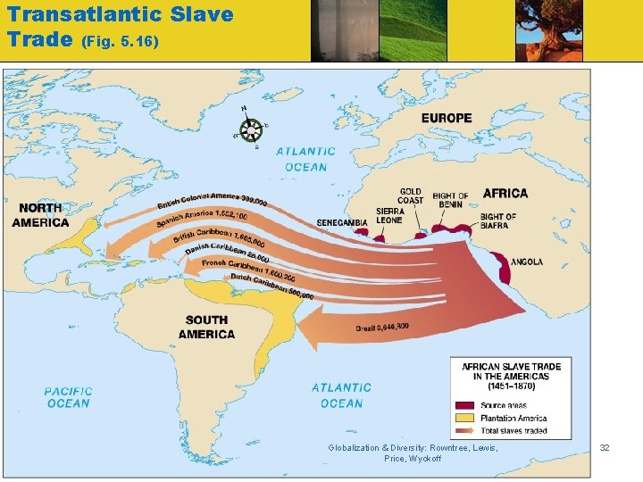 Transatlantic Slave Trade (Fig. 5. 16) Globalization & Diversity: Rowntree, Lewis, Price, Wyckoff 32