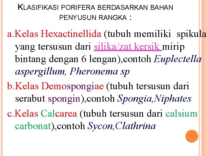 KLASIFIKASI PORIFERA BERDASARKAN BAHAN PENYUSUN RANGKA : a. Kelas Hexactinellida (tubuh memiliki spikula yang