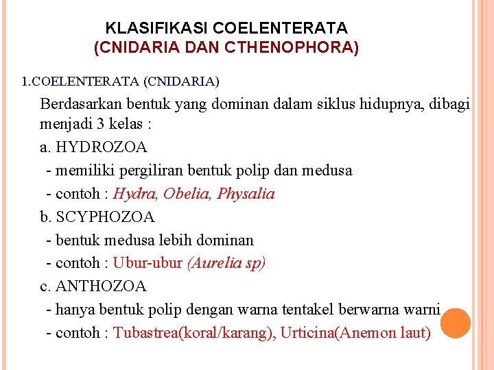 KLASIFIKASI COELENTERATA (CNIDARIA DAN CTHENOPHORA) 1. COELENTERATA (CNIDARIA) Berdasarkan bentuk yang dominan dalam siklus