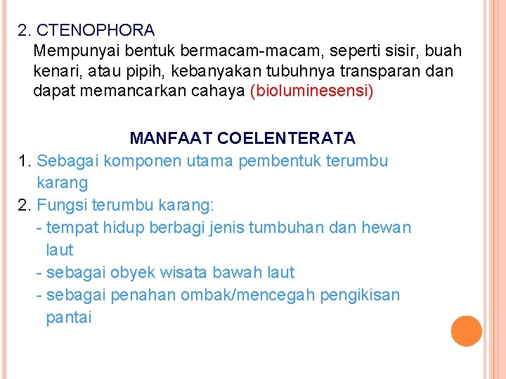 2. CTENOPHORA Mempunyai bentuk bermacam-macam, seperti sisir, buah kenari, atau pipih, kebanyakan tubuhnya transparan