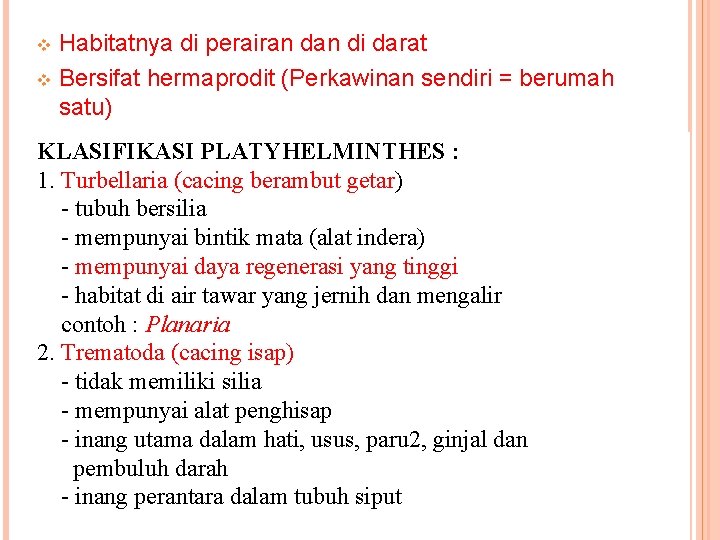 Habitatnya di perairan di darat v Bersifat hermaprodit (Perkawinan sendiri = berumah satu) v