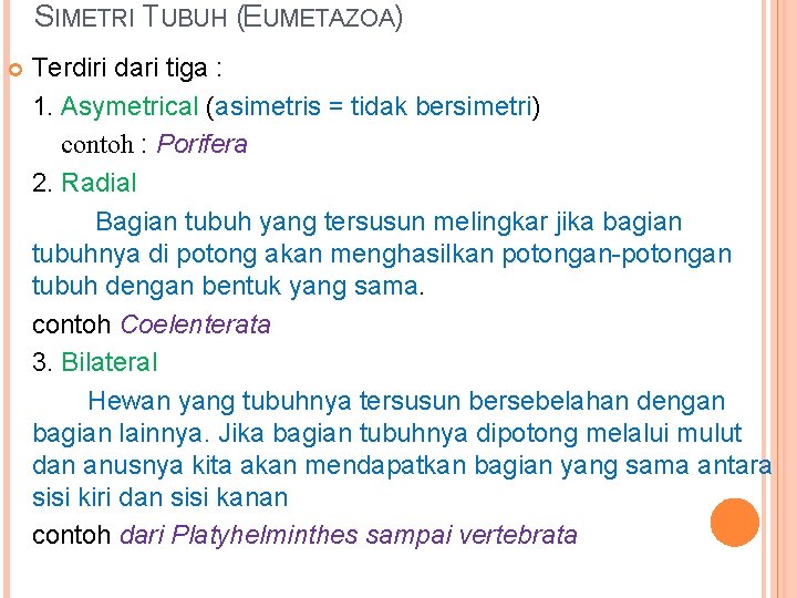 SIMETRI TUBUH (EUMETAZOA) Terdiri dari tiga : 1. Asymetrical (asimetris = tidak bersimetri) contoh