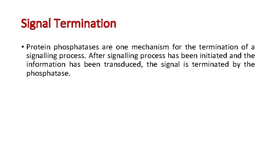 Signal Termination • Protein phosphatases are one mechanism for the termination of a signalling