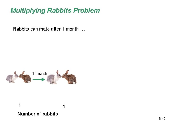 Multiplying Rabbits Problem How many rabbits will there be? Rabbits can mate after 1