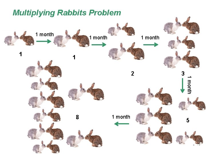 Multiplying Rabbits Problem 1 month 1 8 1 month 3 1 month 2 5