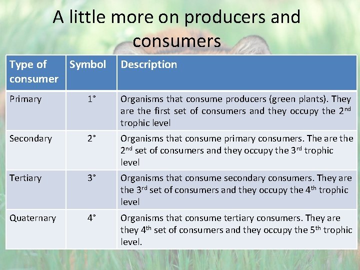 A little more on producers and consumers Type of Symbol consumer Description Primary 1°