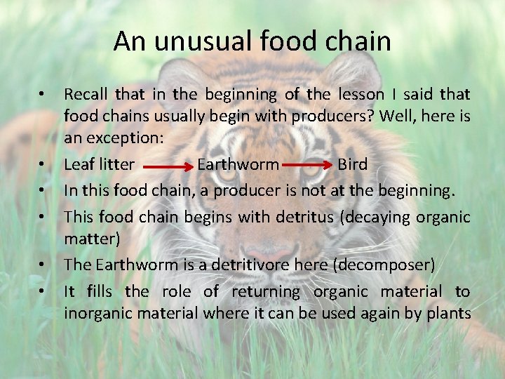 An unusual food chain • • • Recall that in the beginning of the
