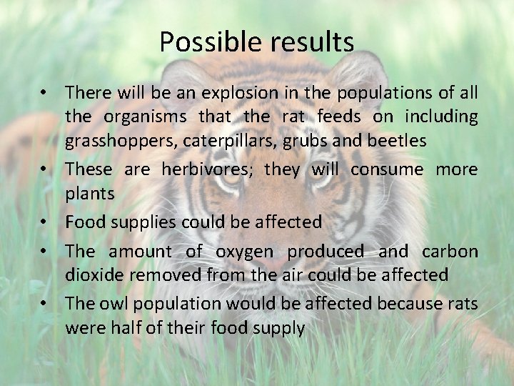 Possible results • There will be an explosion in the populations of all the