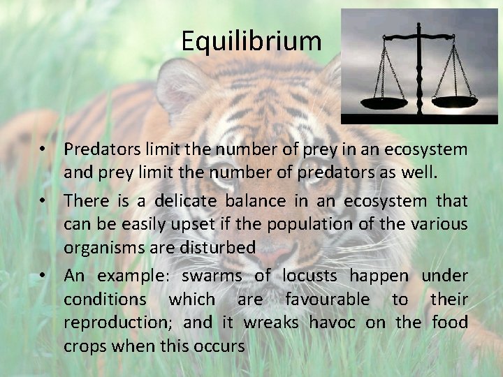 Equilibrium • Predators limit the number of prey in an ecosystem and prey limit