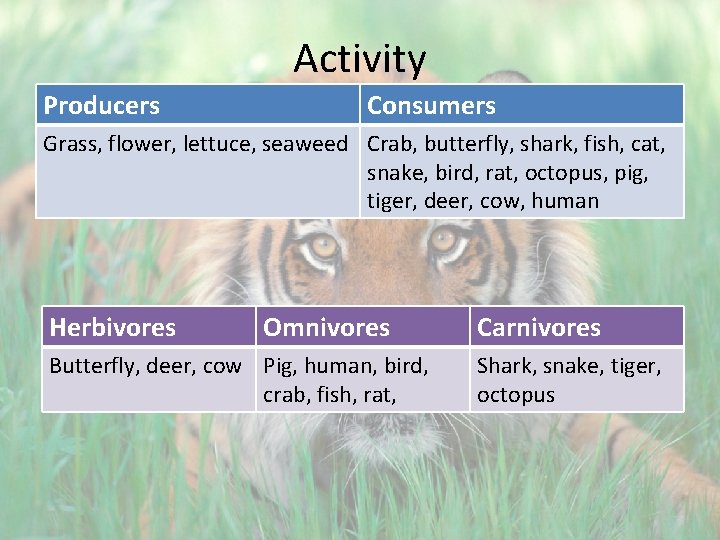 Activity Producers Consumers Grass, flower, lettuce, seaweed Crab, butterfly, shark, fish, cat, snake, bird,