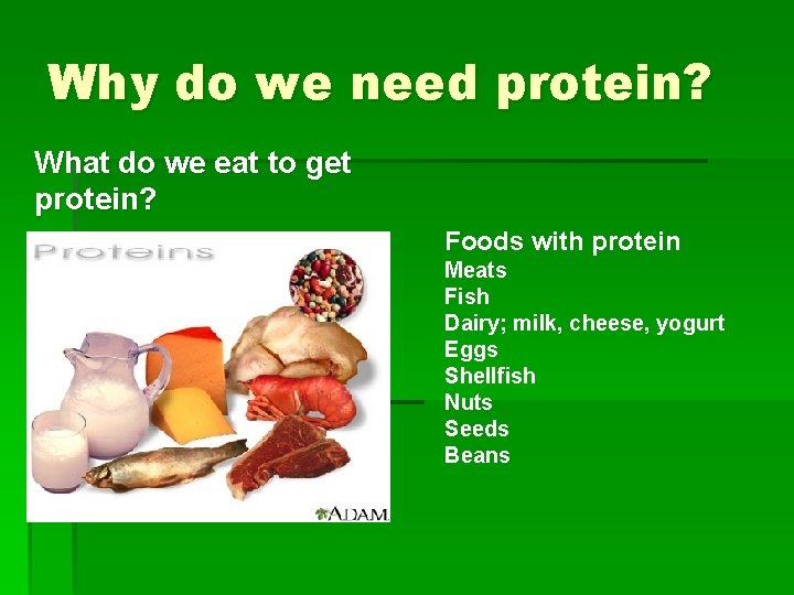 Why do we need protein? What do we eat to get protein? Foods with