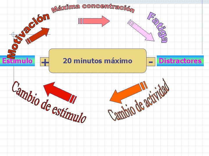 Estímulo + 20 minutos máximo - Distractores 