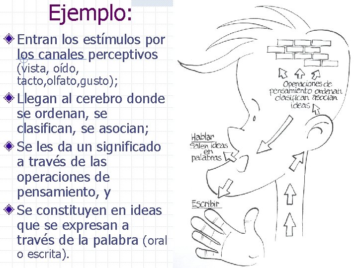 Ejemplo: Entran los estímulos por los canales perceptivos (vista, oído, tacto, olfato, gusto); Llegan