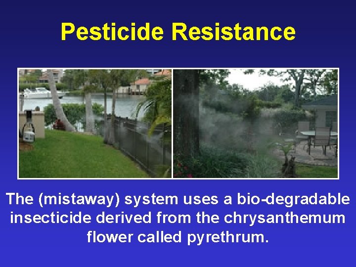 Pesticide Resistance The (mistaway) system uses a bio-degradable insecticide derived from the chrysanthemum flower