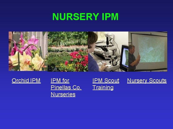 NURSERY IPM Orchid IPM for Pinellas Co. Nurseries IPM Scout Training Nursery Scouts 