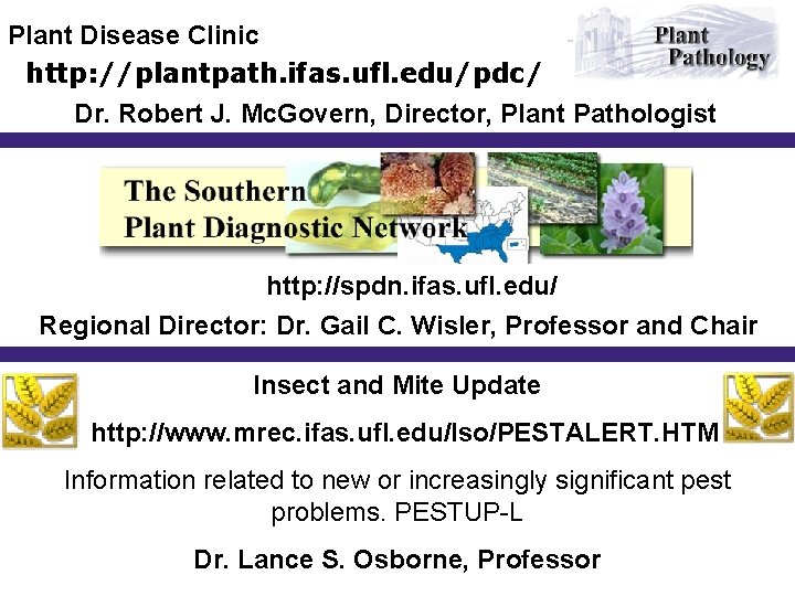 Plant Disease Clinic http: //plantpath. ifas. ufl. edu/pdc/ Dr. Robert J. Mc. Govern, Director,