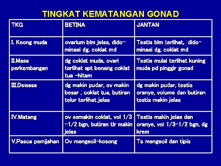 TINGKAT KEMATANGAN GONAD TKG BETINA JANTAN I. Keong muda ovarium blm jelas, didominasi dg,