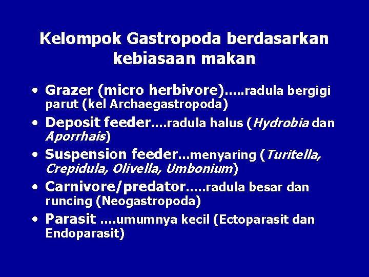 Kelompok Gastropoda berdasarkan kebiasaan makan • Grazer (micro herbivore)…. . radula bergigi parut (kel