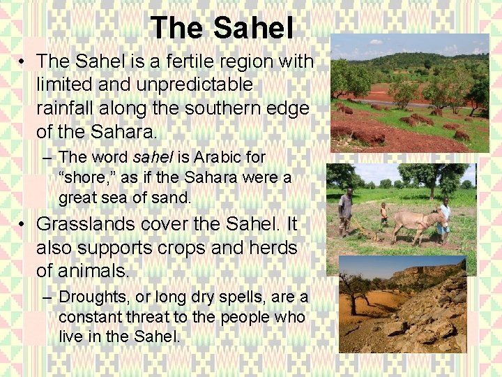 The Sahel • The Sahel is a fertile region with limited and unpredictable rainfall
