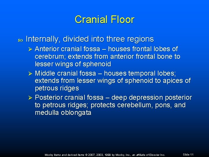 Cranial Floor Internally, divided into three regions Anterior cranial fossa – houses frontal lobes