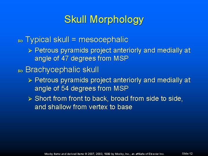Skull Morphology Typical skull = mesocephalic Ø Petrous pyramids project anteriorly and medially at