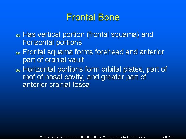 Frontal Bone Has vertical portion (frontal squama) and horizontal portions Frontal squama forms forehead