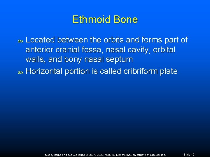 Ethmoid Bone Located between the orbits and forms part of anterior cranial fossa, nasal