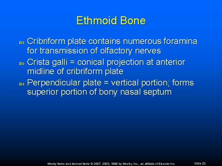 Ethmoid Bone Cribriform plate contains numerous foramina for transmission of olfactory nerves Crista galli