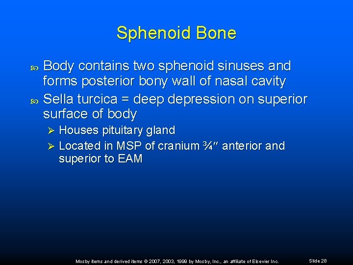 Sphenoid Bone Body contains two sphenoid sinuses and forms posterior bony wall of nasal