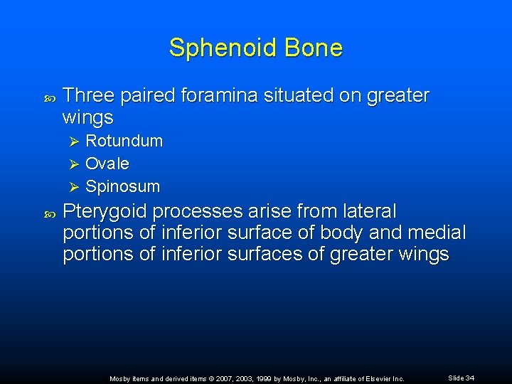 Sphenoid Bone Three paired foramina situated on greater wings Rotundum Ø Ovale Ø Spinosum
